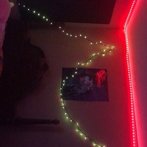 Green Christmas lights with purple tips